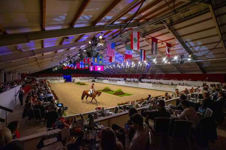 Photo © Dutch Sport Horse Sales
