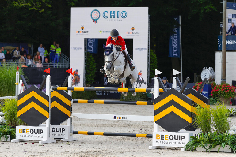 Photo © Dutch Sport Horse Sales