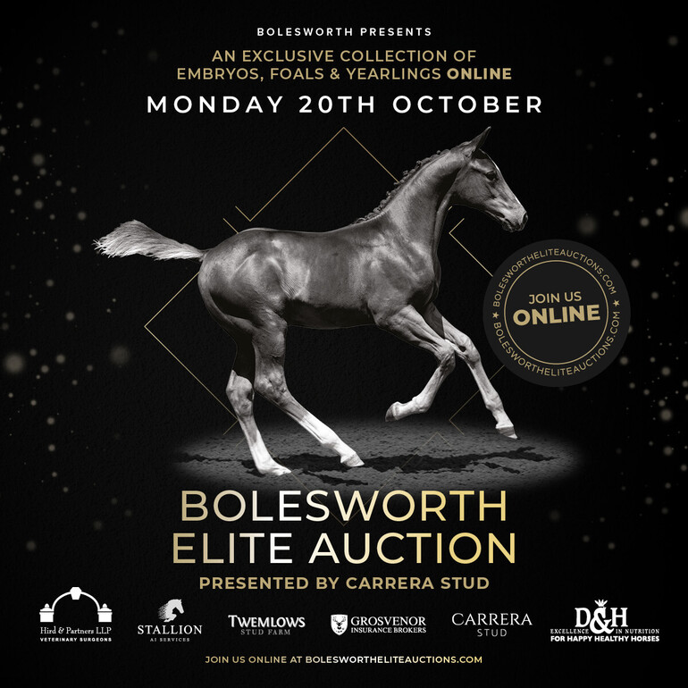 Bolesworth Elite Auction presented by Carrera Stud