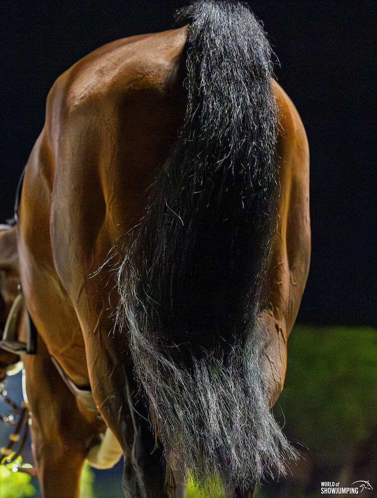 Photo © Jenny Abrahamsson/WoSJ