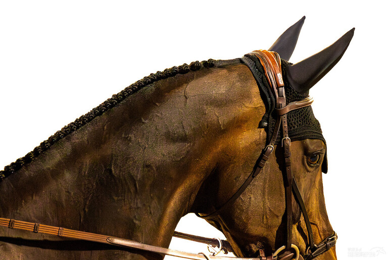 Photo © Jenny Abrahamsson/WoSJ