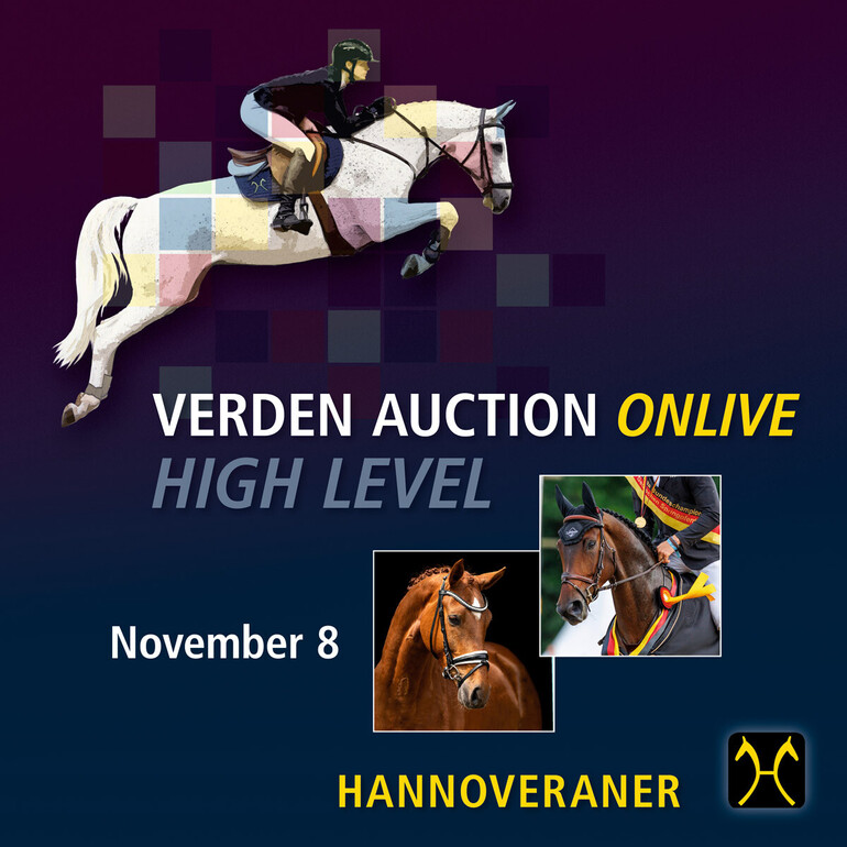 Verden High Level Auction