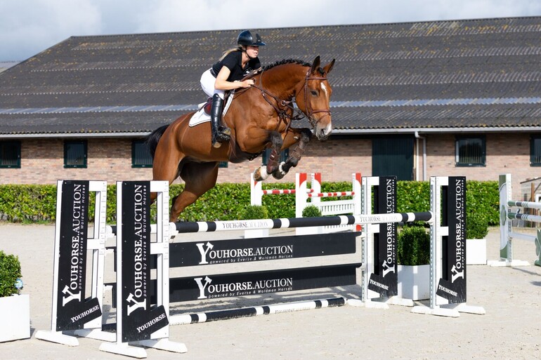 The 5.5-year-old Paquidorado van de Reesterhof (Grandorado x Quidam de Revel) comes from the half-sister of Olympic silver medalist Mac Kinley.