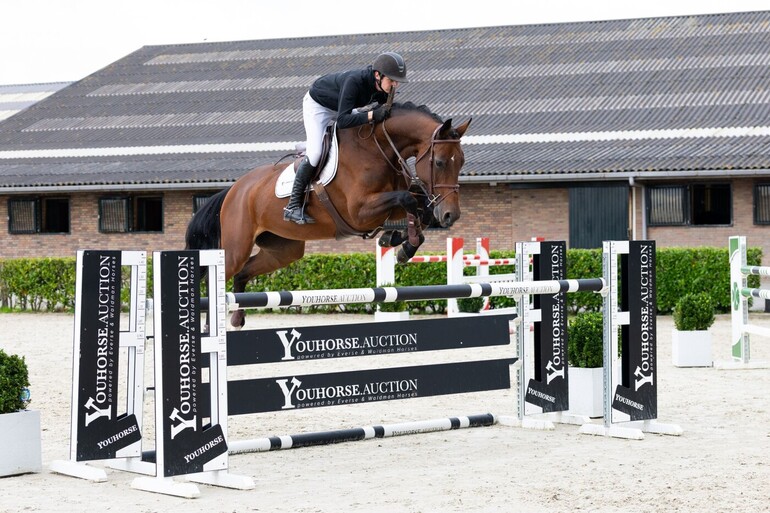 The 10-year-old Highness Luna (Casalito x Conteur) is a lovely horse for an amateur rider.