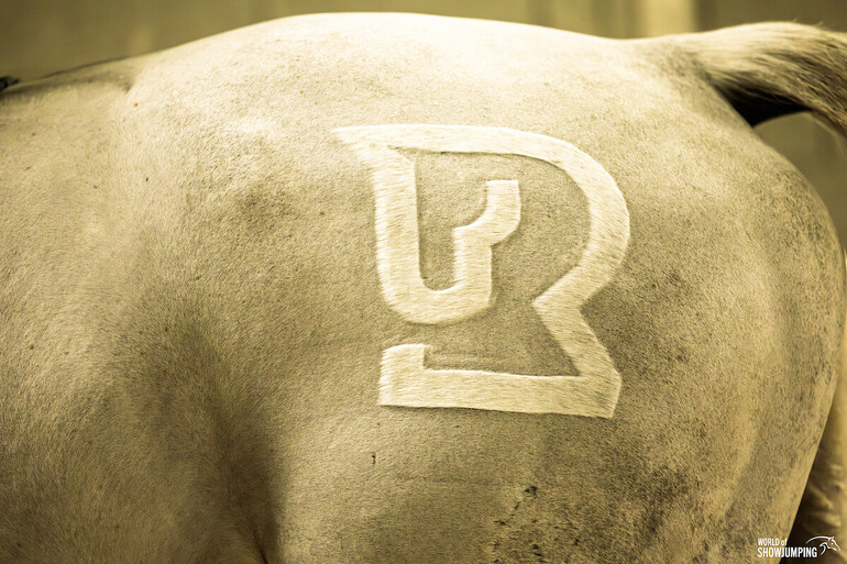 Photo © Jenny A Photo for World of Showjumping.
