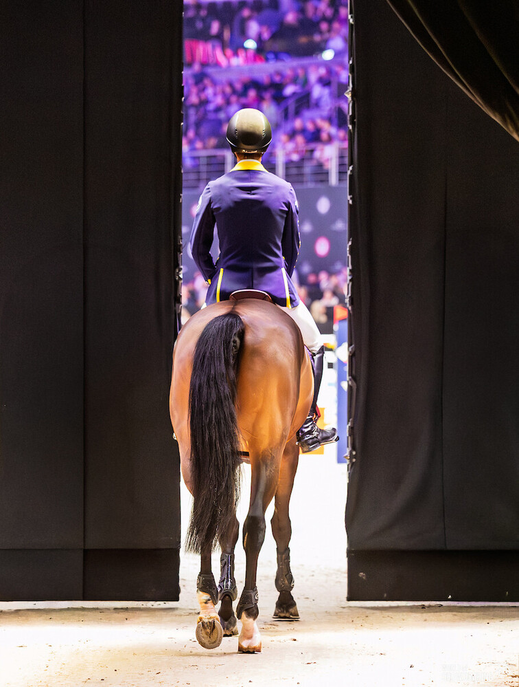 Photo © Jenny A Photo for World of Showjumping