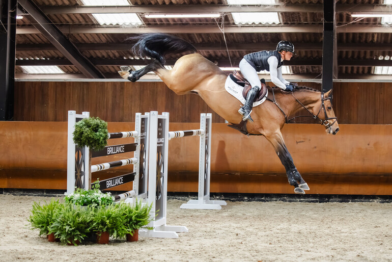 Photo © Brilliance Horse Auction