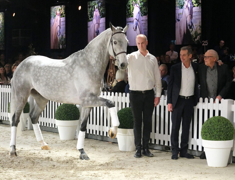 Photo © Holger Hetzel International Sport Horse Sales.