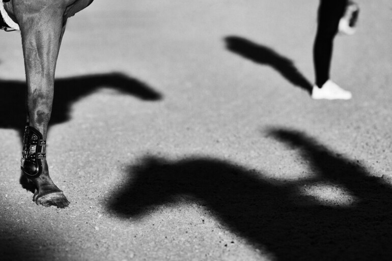 Photo © Hervé Bonnaud