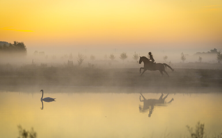 Photo © Arnd Bronkhorst