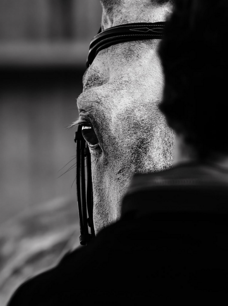 Photo © Christophe Taniere