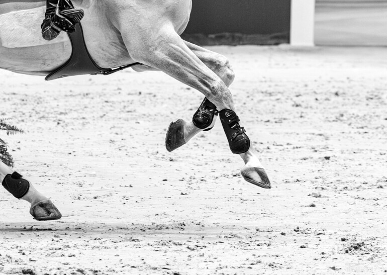 Photo © Jenny A Photo/WoSJ.