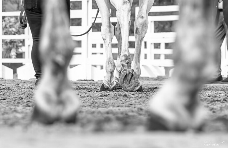Photo © Jenny A Photo/WoSJ. 