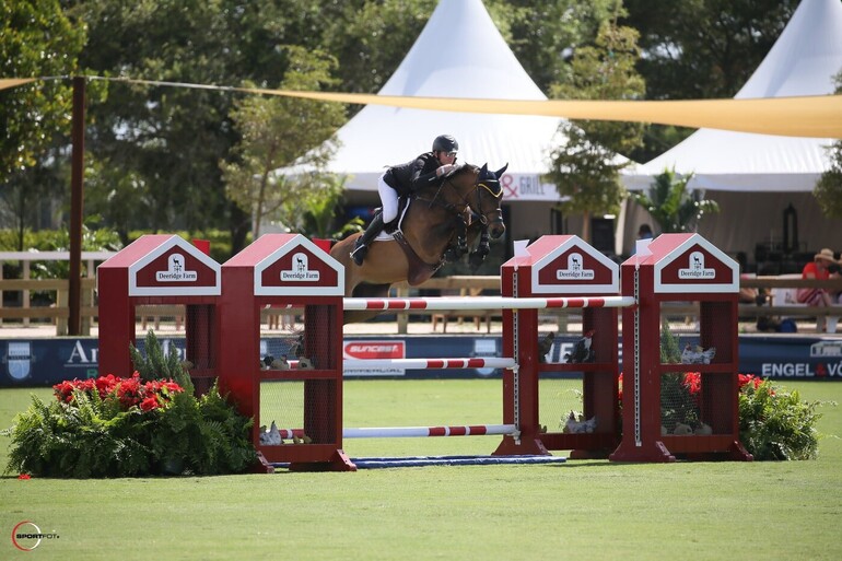WEF Sport Horse Auction