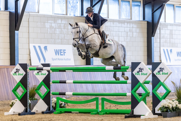 WEF Sport Horse Auction
