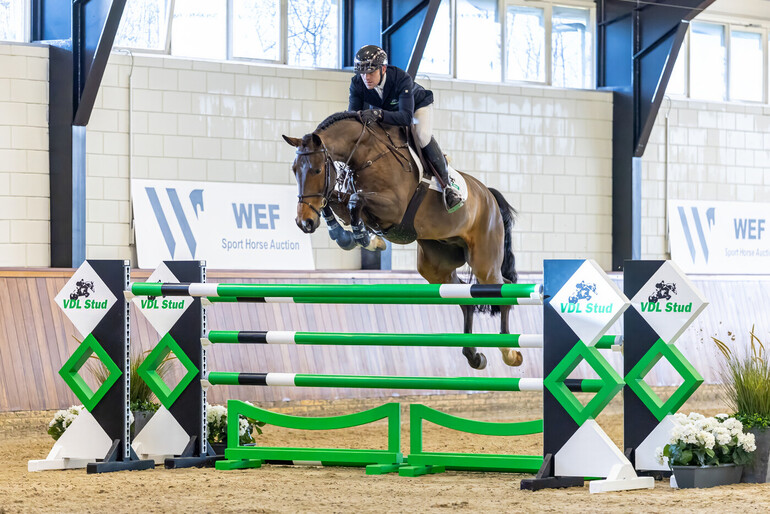 WEF Sport Horse Auction