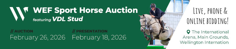 WEF Sport Horse Auction