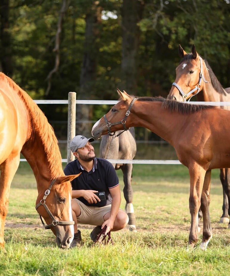 Genesis Horse Breeding