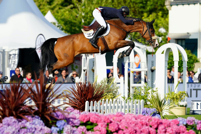 Genesis Horse Breeding