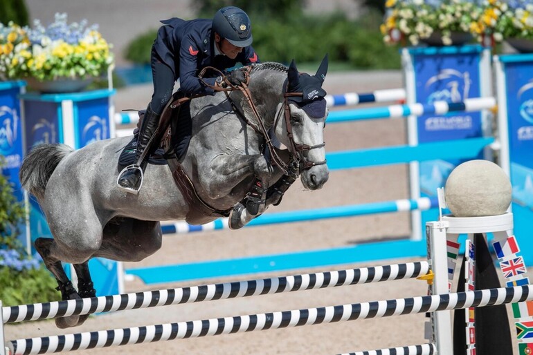 Genesis Horse Breeding