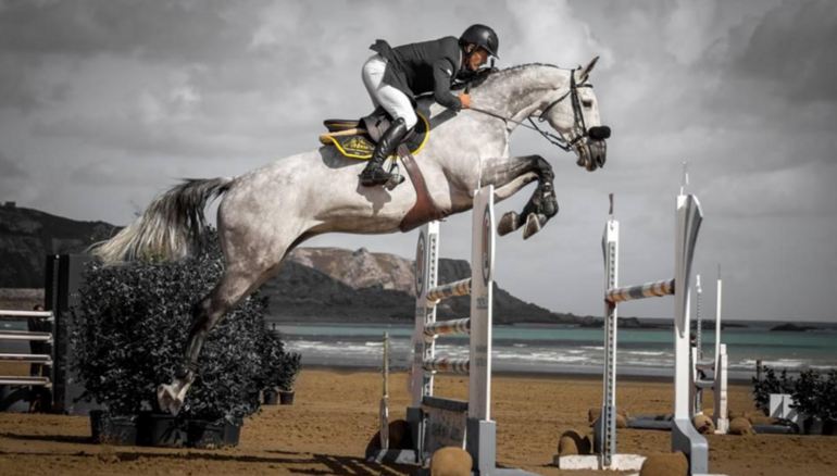 Genesis Horse Breeding
