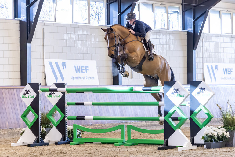 https://bid.wefsporthorseauction.com/auctions/729c8afd-a044-4f76-a03a-08de4a105190/item-details/c0bff572-3b16-4b61-4e5f-08de49fa894b