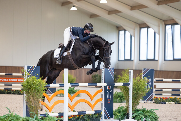 Culiko EB (Casall x Colman)