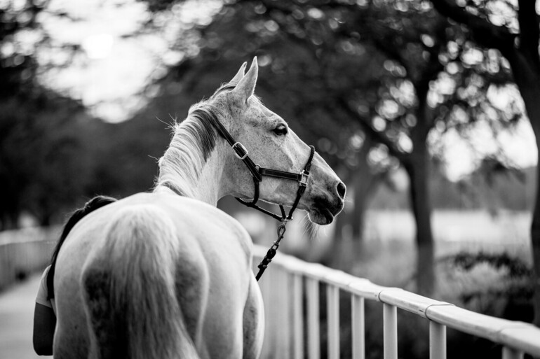 Photo © LGCT.