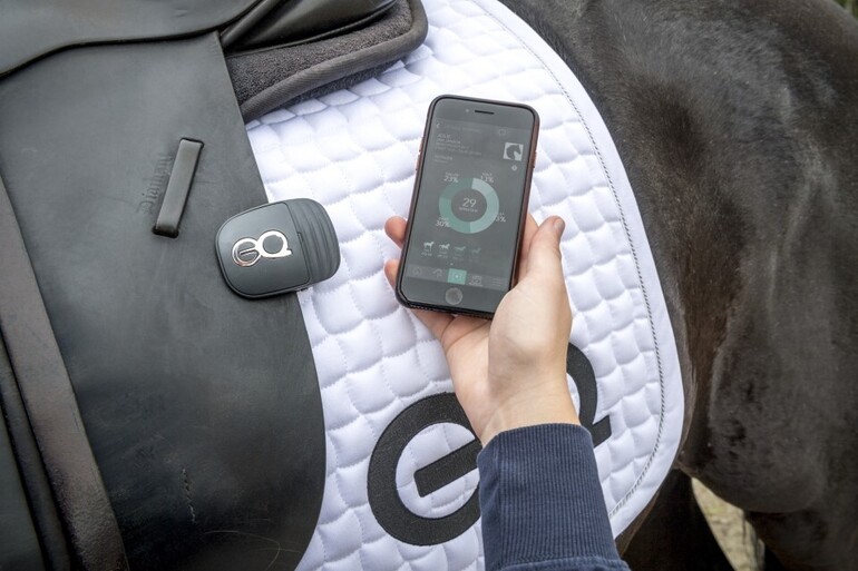 Equestic: EQ Coach-Copilot
