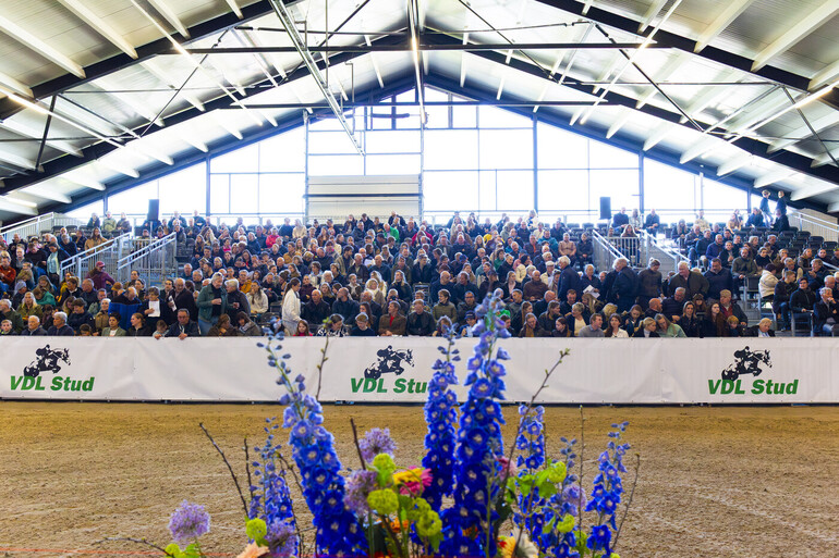VDL Stud
