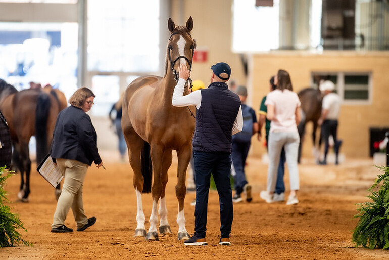 Photo © FEI/Shannon Brinkman.