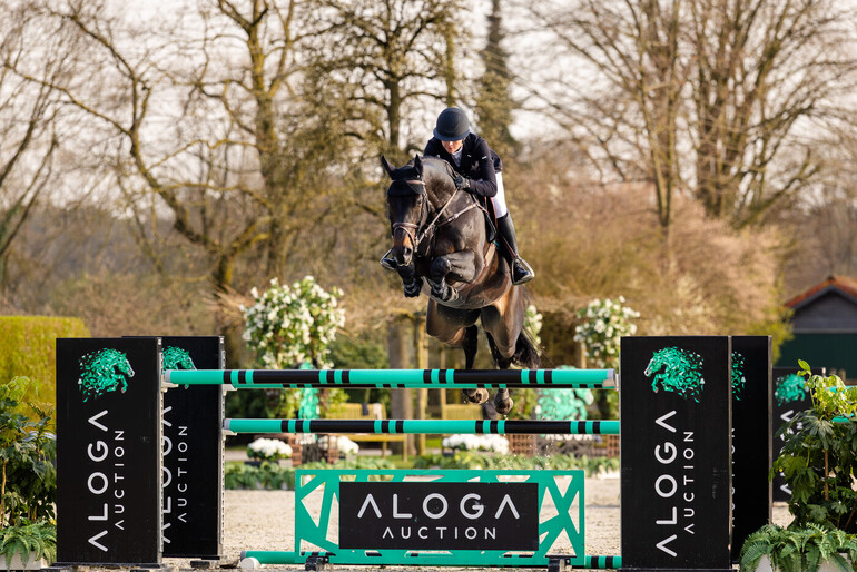 Aloga Auction