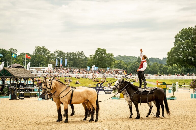 Photo © Al Shira’aa Bolesworth International.