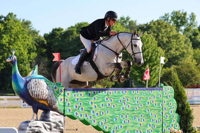 Photo © Kentucky Horse Shows/Winslow.