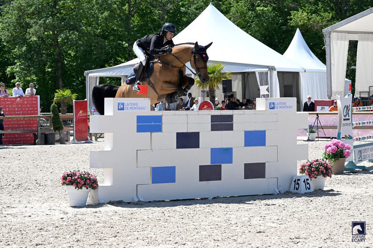 seri専用 This weekend's CSI3* & CSI2* Grand Prix winners | World of Showjumping