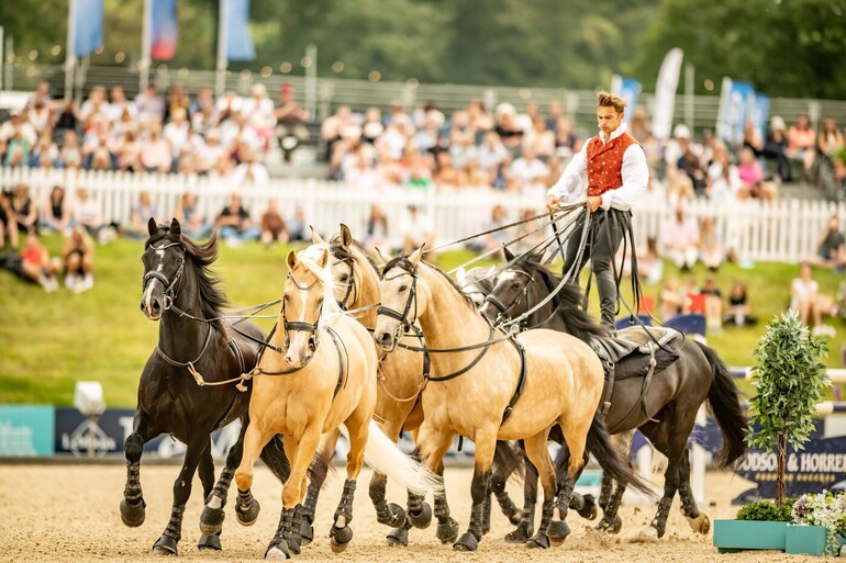Al Shira’aa Bolesworth International 