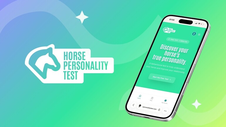 Horse Personality Test