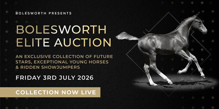 Bolesworth International