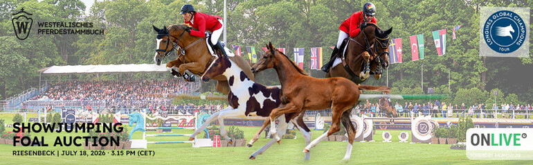 Westphalian Foal Auction