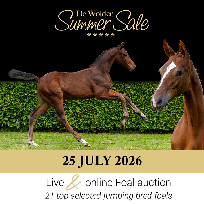 De Wolden Summer Sales