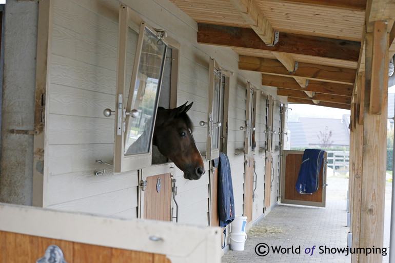 Outdoor stables with a view.