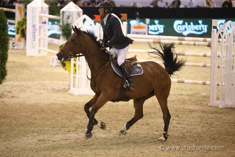 Patrice Delaveau took the win in Saturday's Grand Prix qualifier in Liege on Ornella Mail. Photo (c) www.studforlife.com.