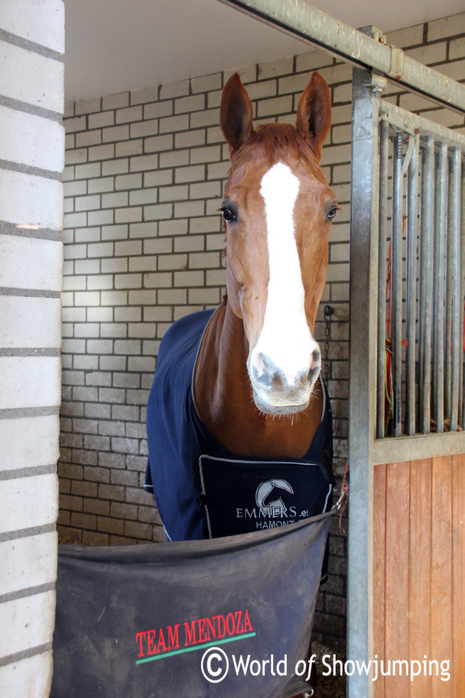 Inside the stables. Photo (c) World of Showjumping. 