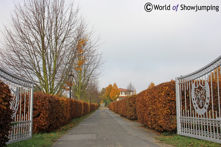 The driveway that leads to the stables and the house.