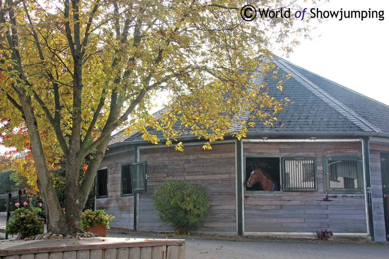 There are several stable blocks on the yard; here Sylvia Gugler's stable.