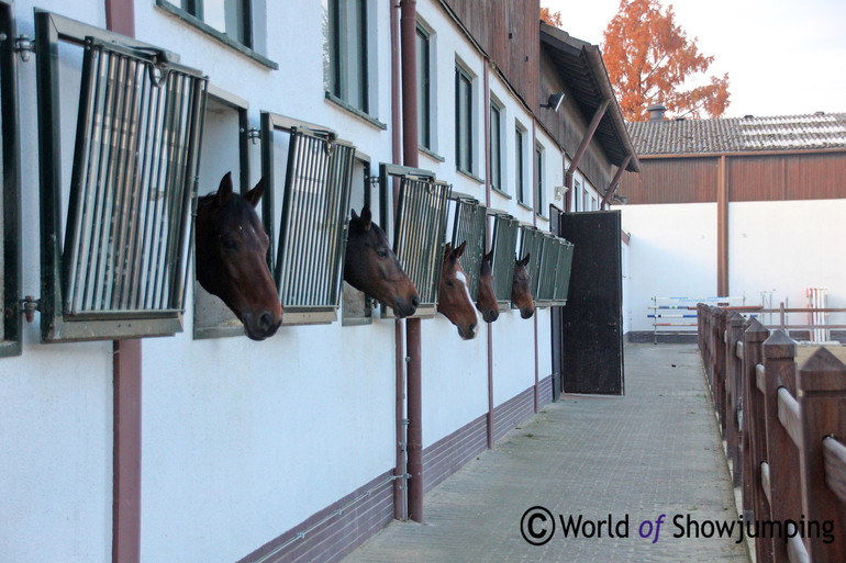 The main stables at Gestüt Prinzenberg.