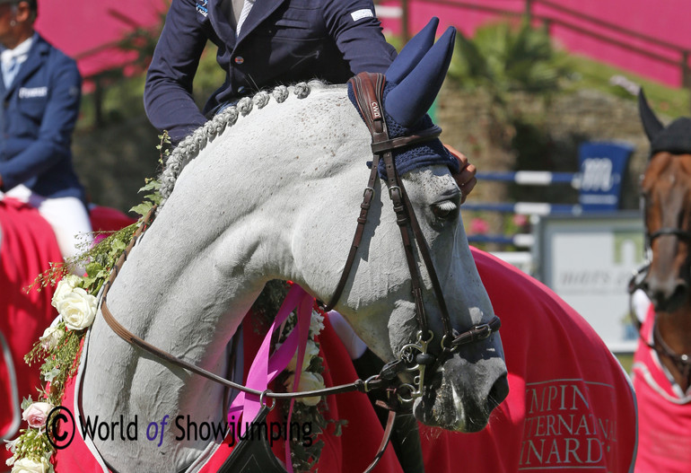 Bertram uses CWD products. Photo Jenny Abrahamsson.