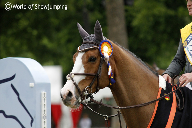 Cameron Hanley with Antello Z. Photo (c) Jenny Abrahamsson.