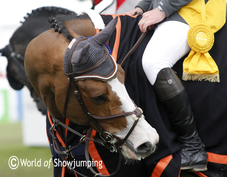 Cameron Hanley with Antello Z. Photo (c) Jenny Abrahamsson.