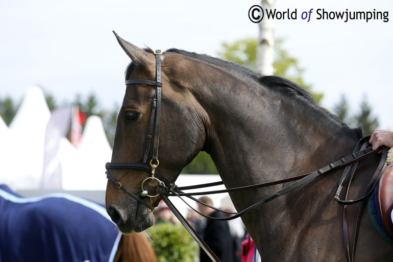 Abbervail van het Dingeshof. Photo (c) Jenny Abrahamsson.